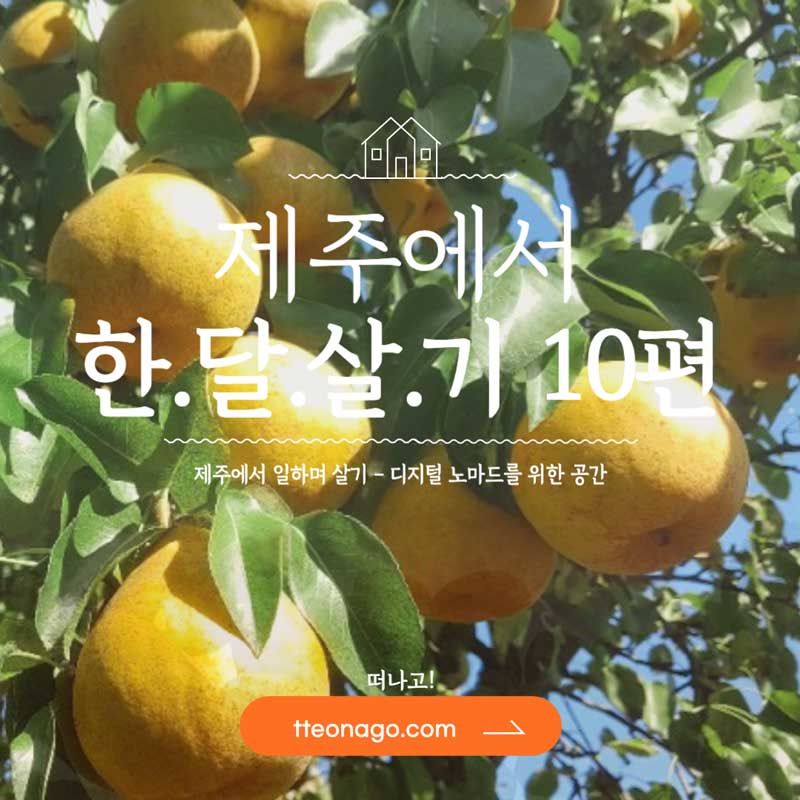 한달살기제주도편-10_떠나고.jpg