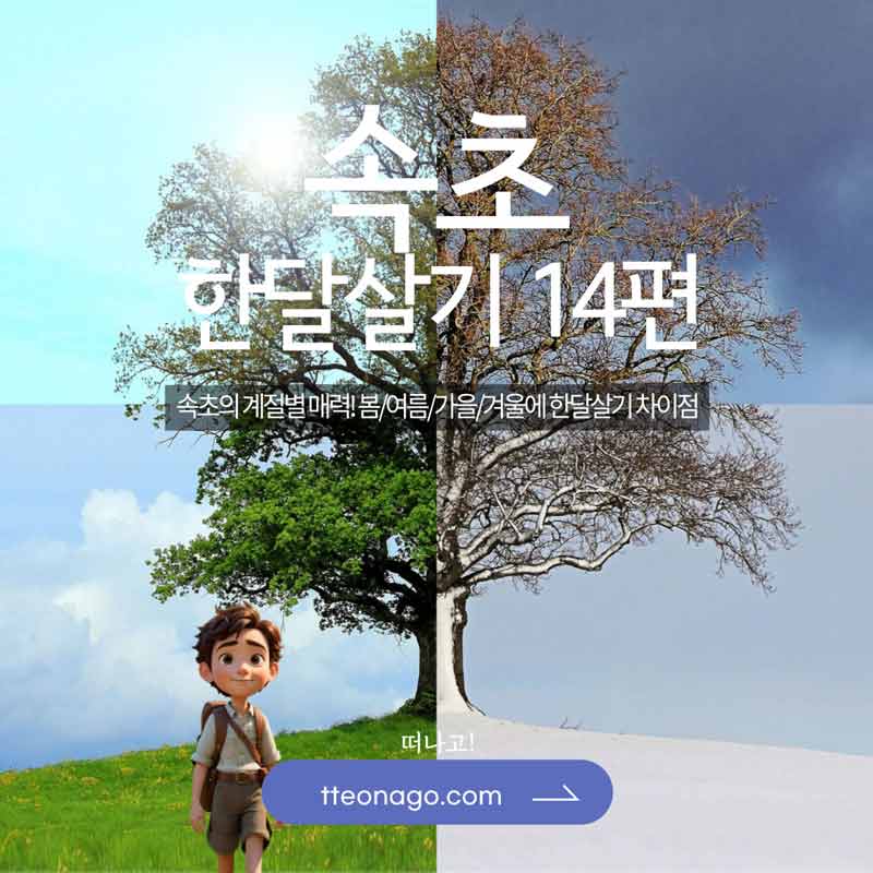 속초한달살기_떠나고_014.jpg